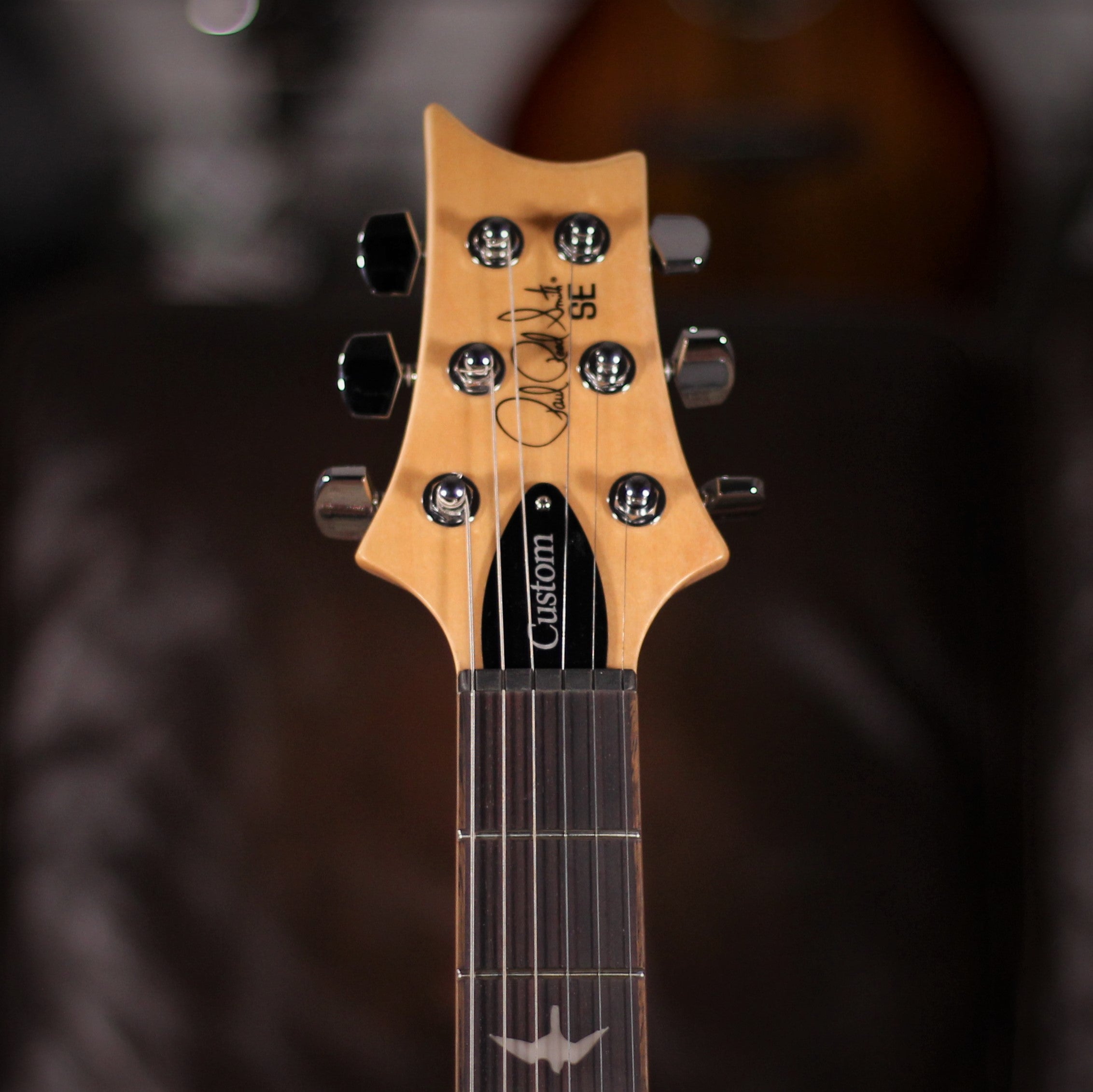PRS SE Custom 24 Faded Blue – Foulds Guitars