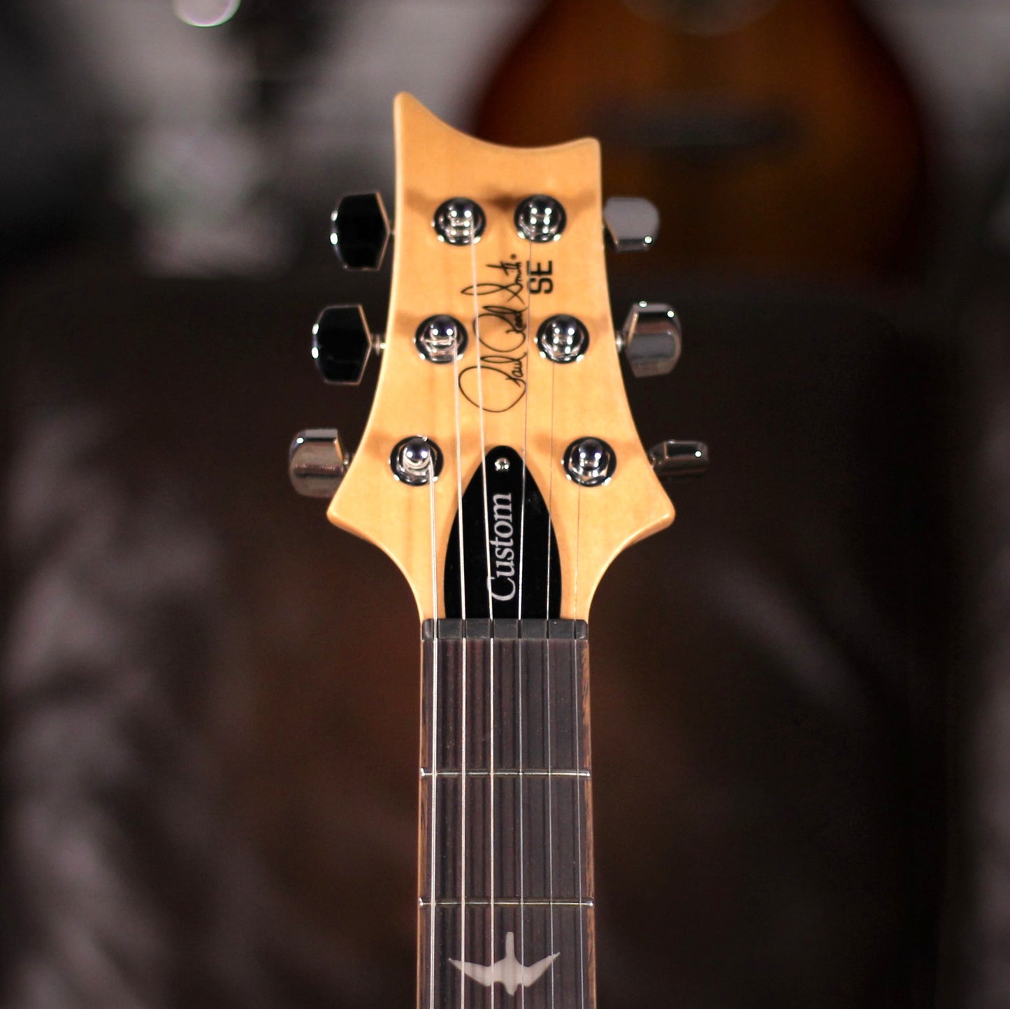 PRS SE Custom 24 Faded Blue
