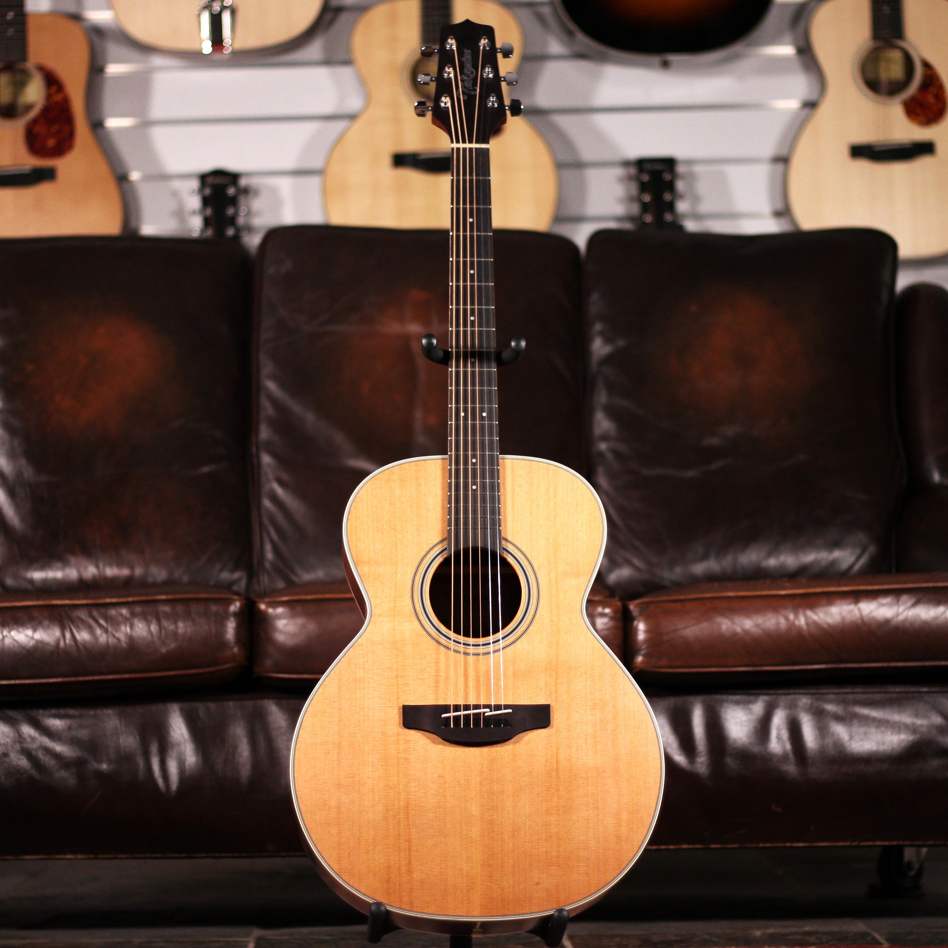 Takamine GN20