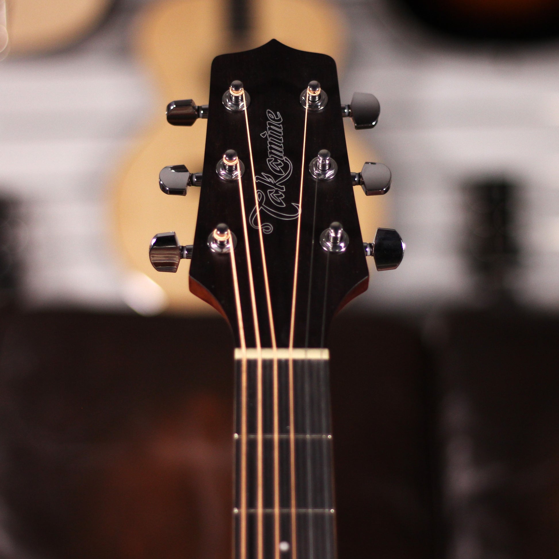 Takamine GN20