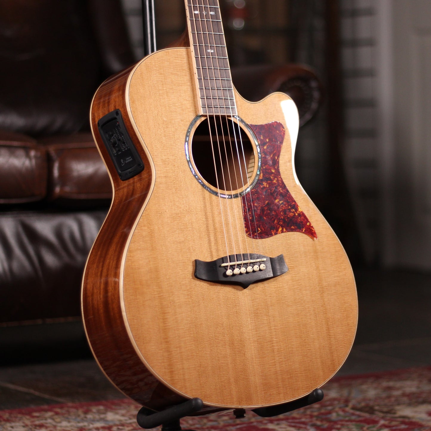 Tanglewood TW45 RE