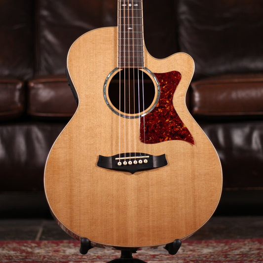 Tanglewood TW45 RE