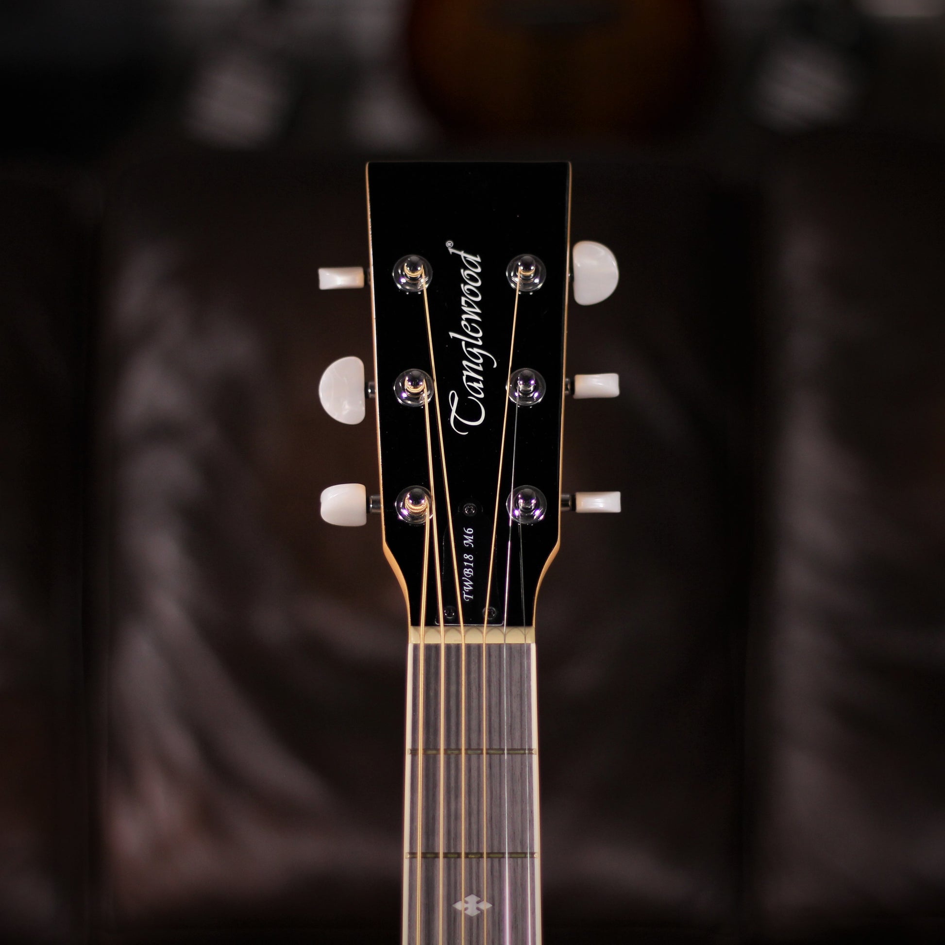 Tanglewood TWB18M6 6-string Banjo headstock