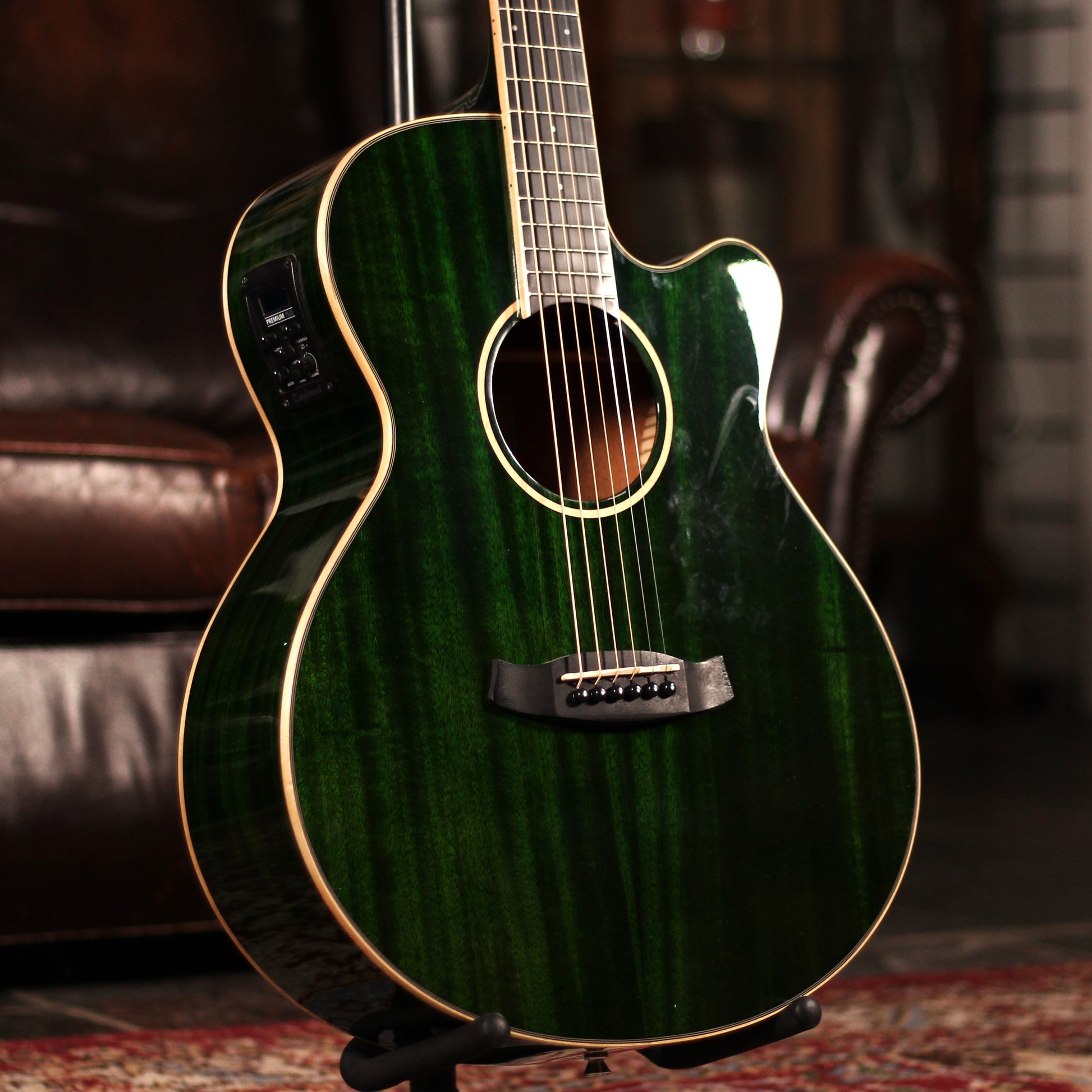 Tanglewood TW4 FG