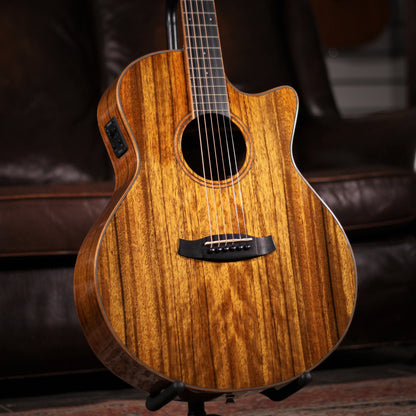 Tanglewood TW4 E VC PW