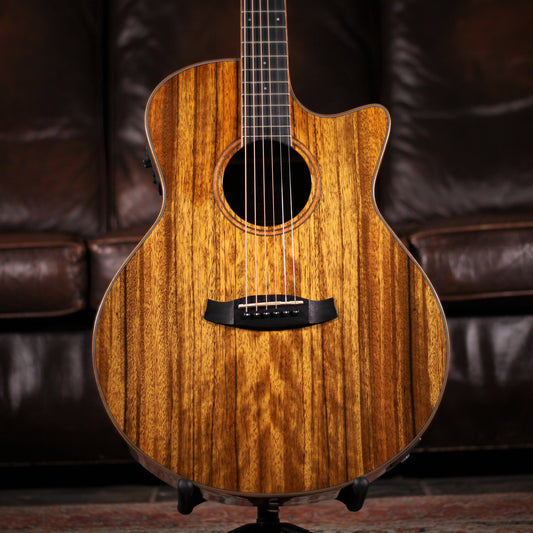 Tanglewood TW4 E VC PW