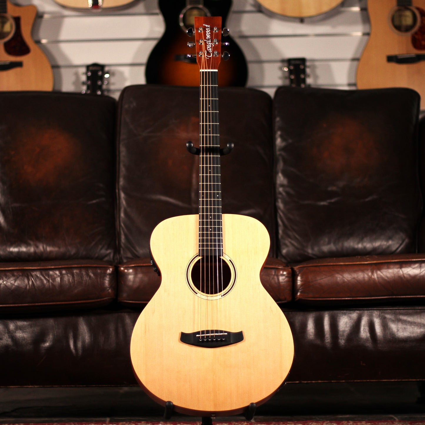 Tanglewood TWR2-OE