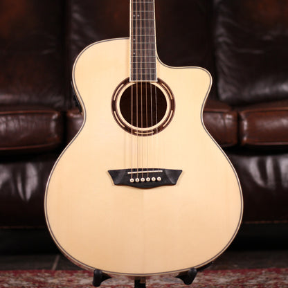 Washburn AG40CE