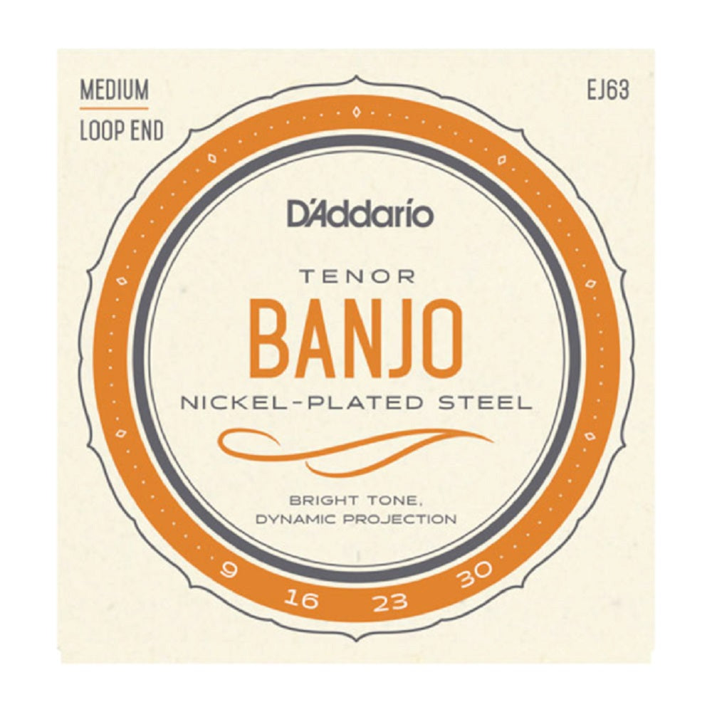 DAddario EJ63 Tenor Banjo 9-30