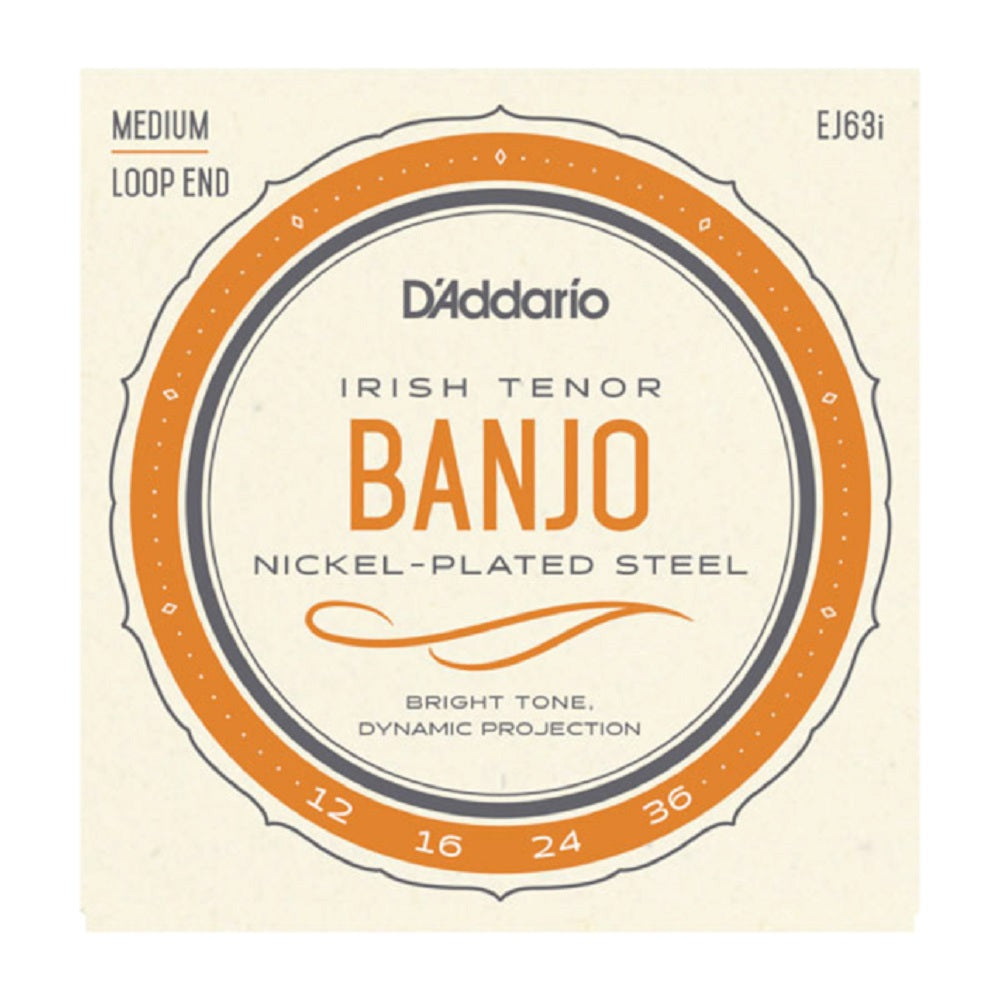 DAddario EJ63i Irish Banjo 12-36