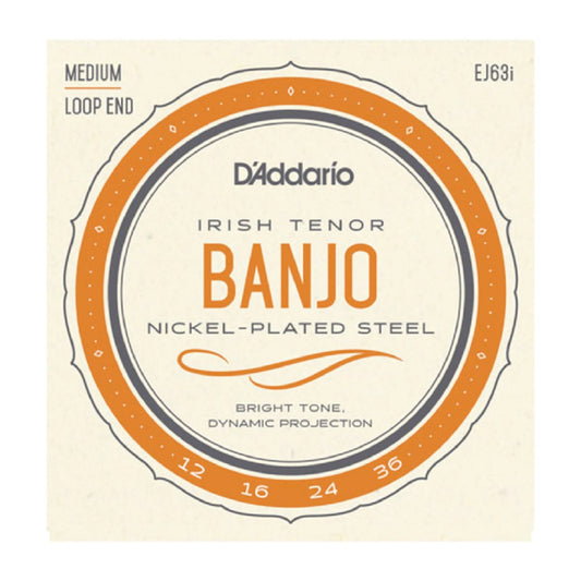 DAddario EJ63i Irish Banjo 12-36