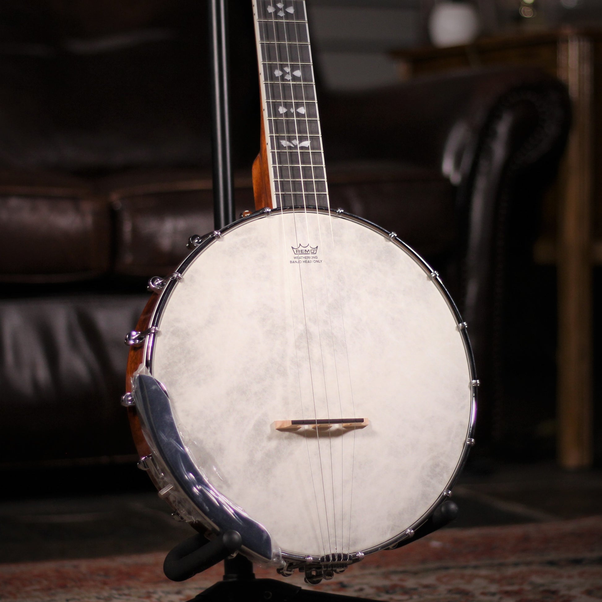 barnes & mullins albert 5 string banjo angled