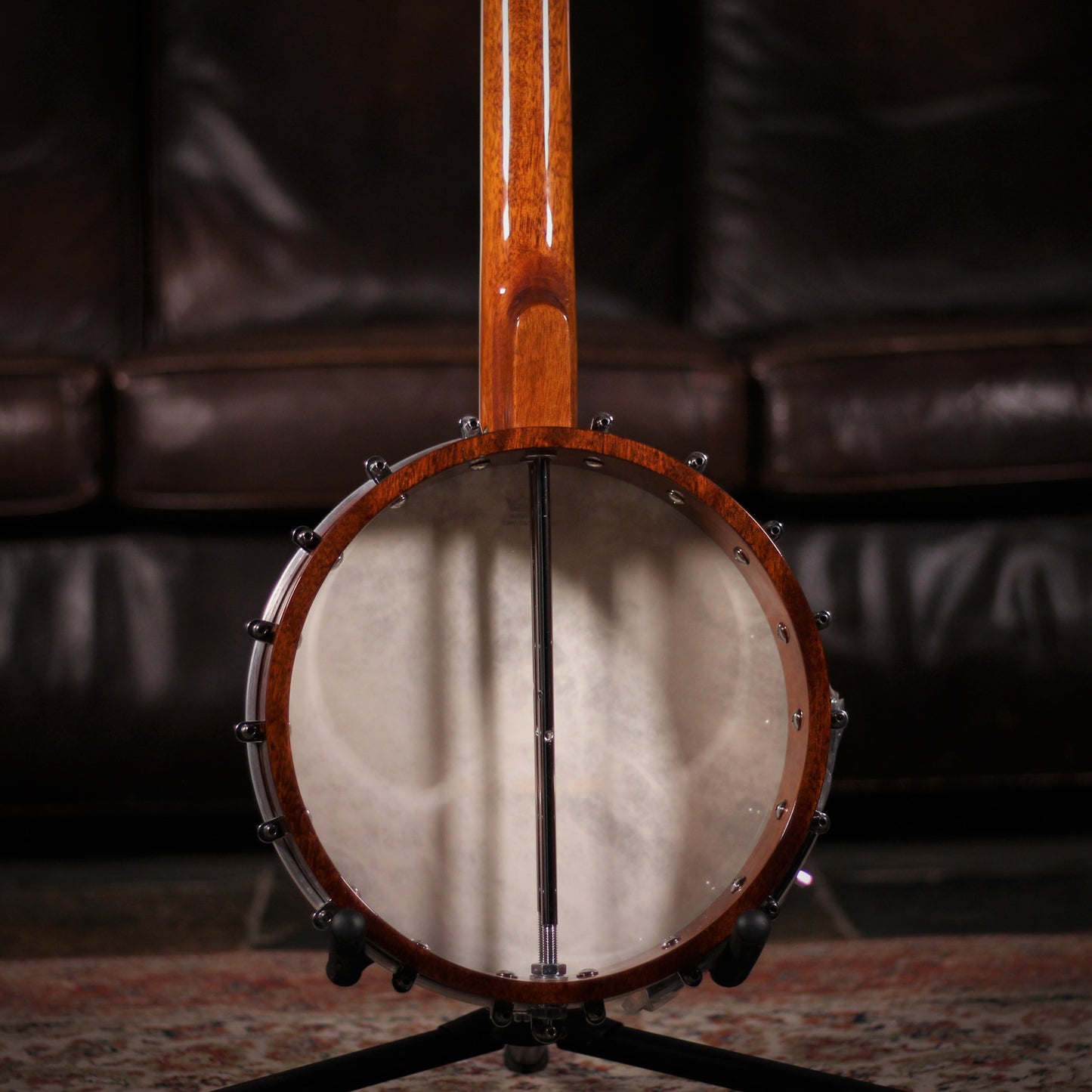 barnes & mullins albert 5 string banjo rear