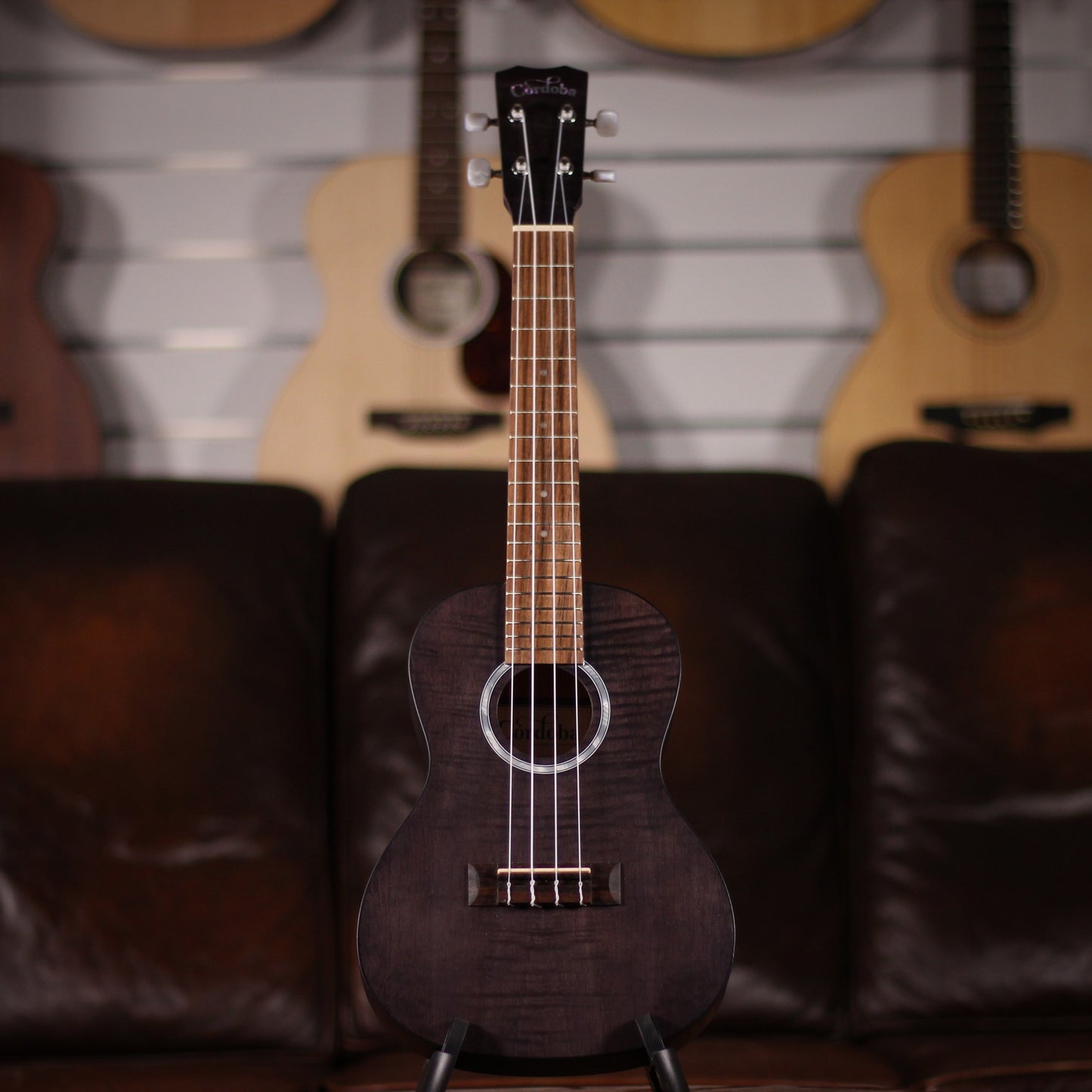 Cordoba 15C FM Concert Uke Grey full