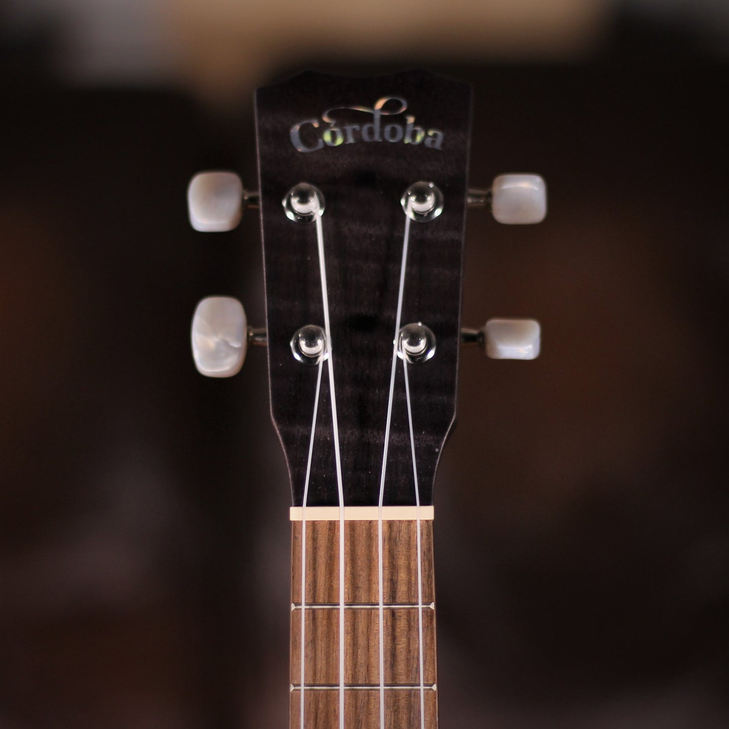 Cordoba 15C FM Concert Uke Grey headstock