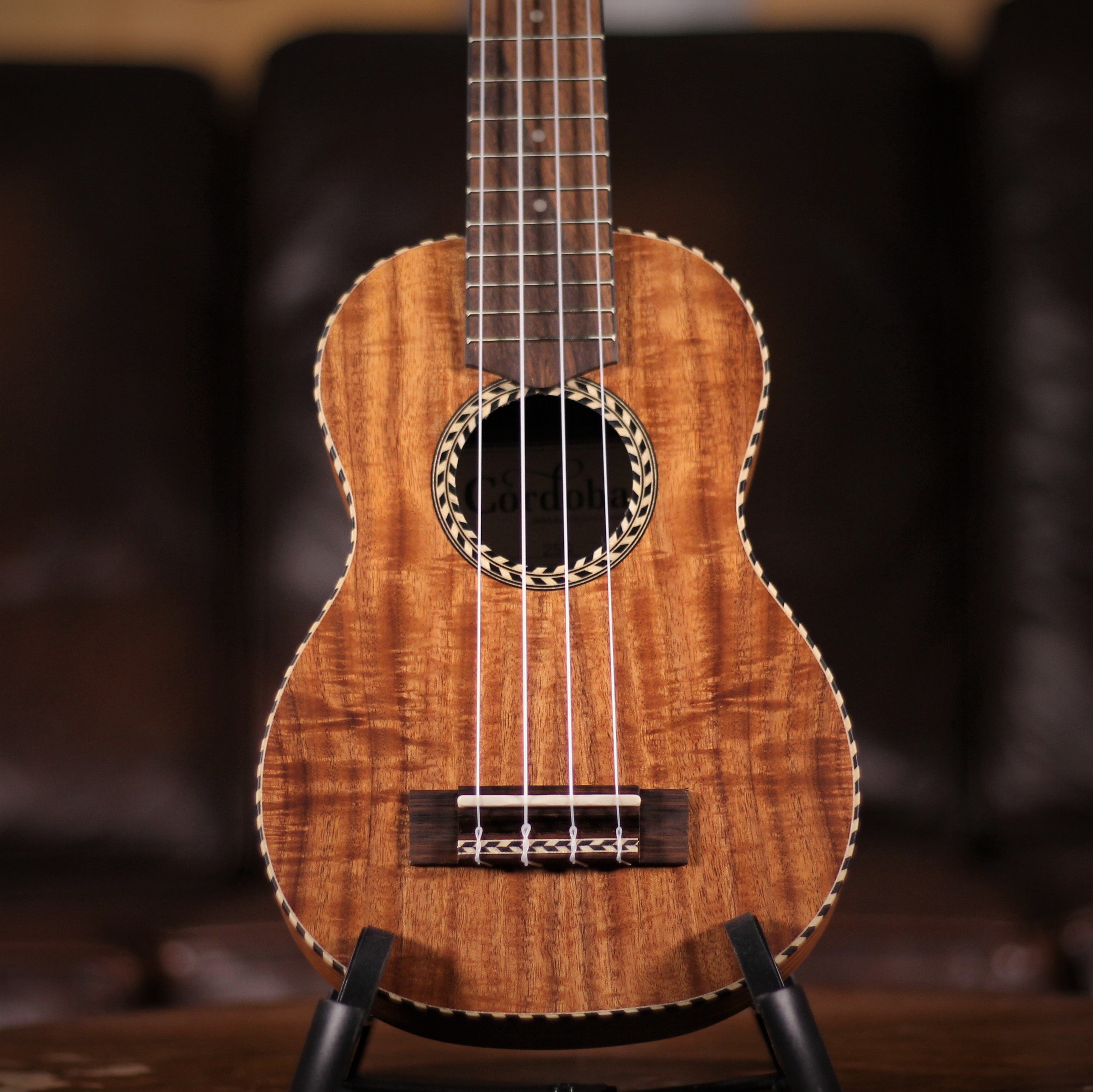 cordoba – Foulds Guitars