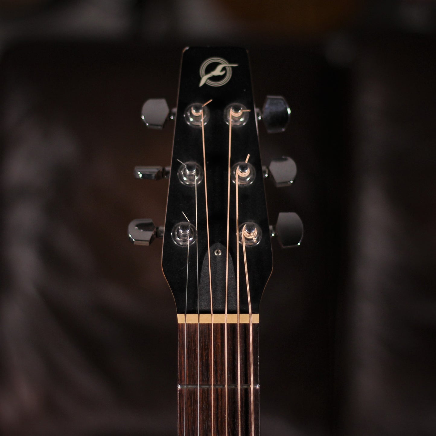 USED - Seagull ASE01A headstock