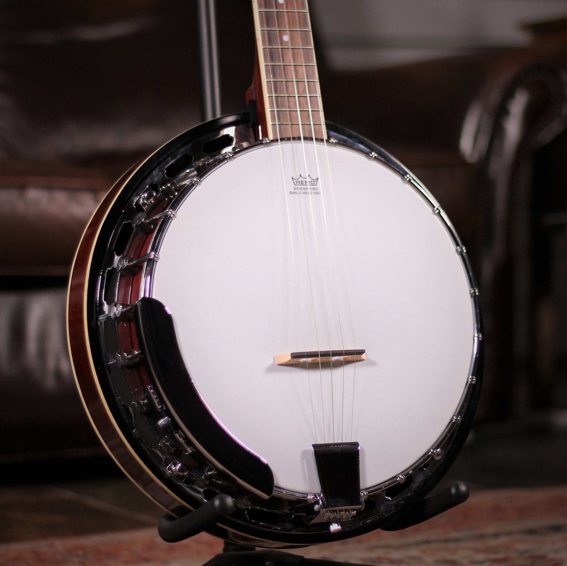 richwood rmb605 5 string banjo angled