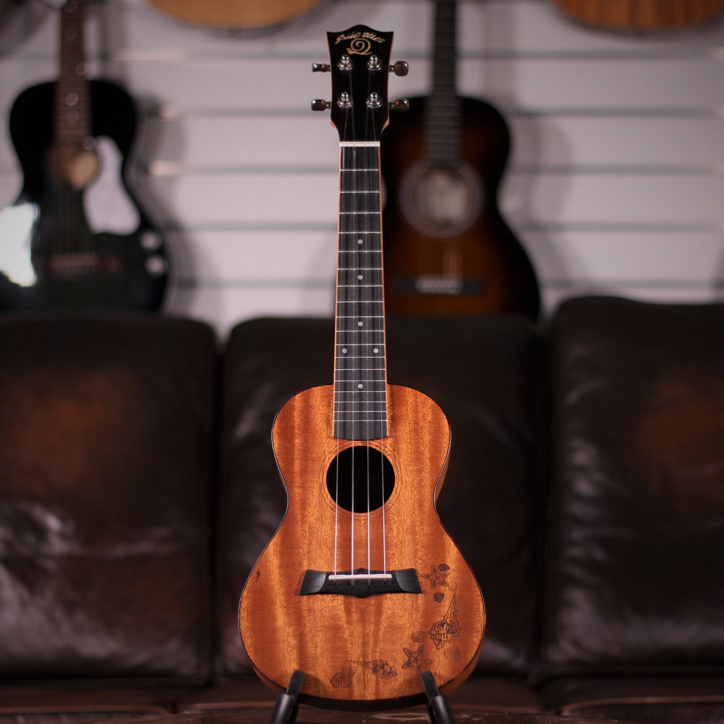 Snail C-06 Concert Ukulele full