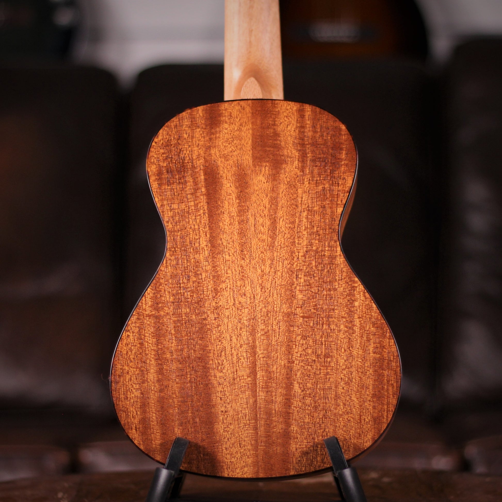 Snail C-06 Concert Ukulele rear