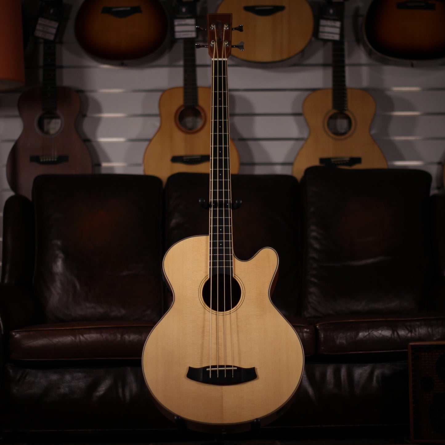 Tanglewood TW8 AB Acoustic Bass full