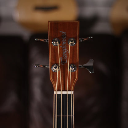 Tanglewood TW8 AB Acoustic Bass headstock