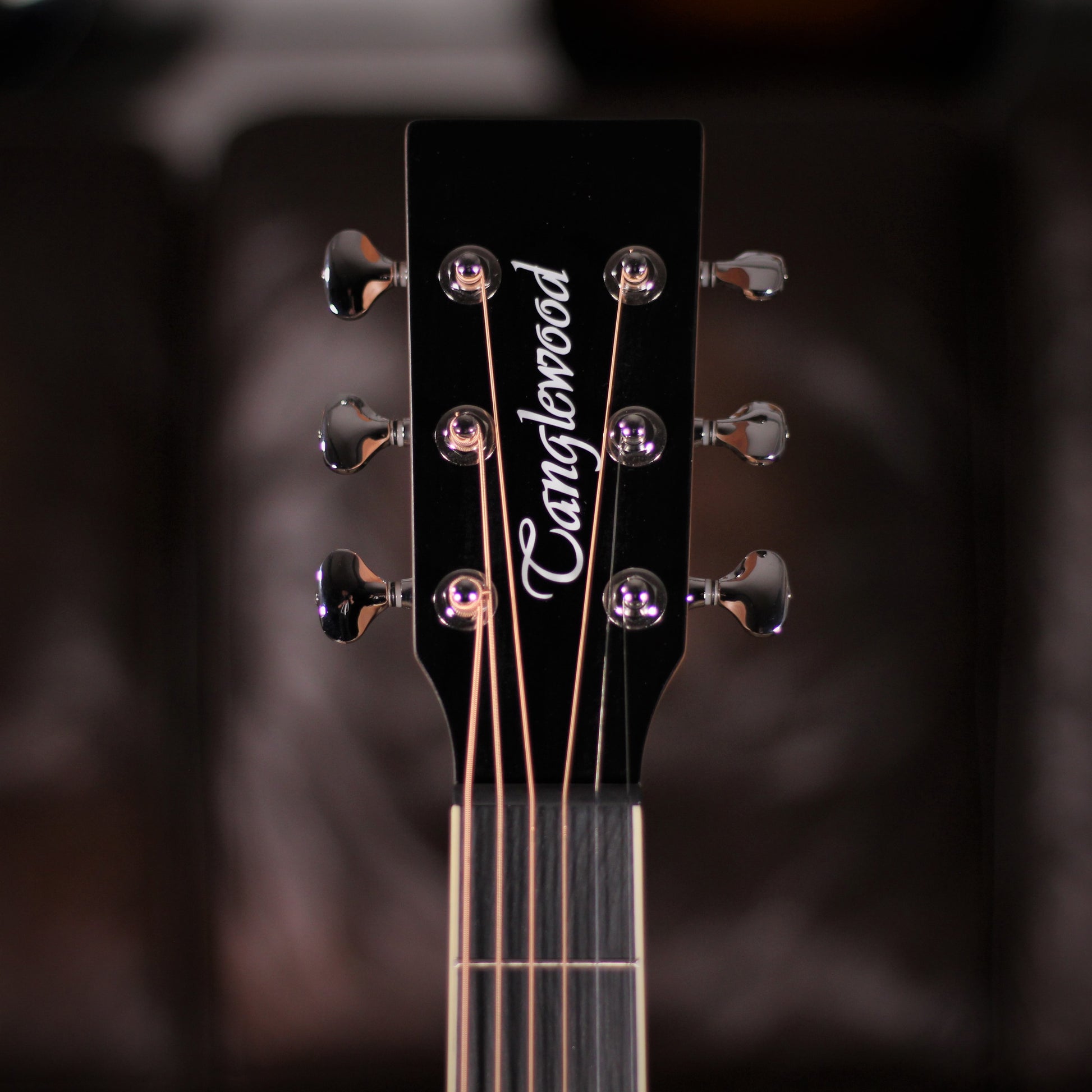 Tanglewood TSP15 SD HB headstock